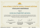 Uzm. Psk. Dan. Golsa Ağaya Psikolojik Danışman sertifikası