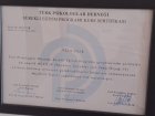 Psk. Aysu Sille Psikoloji sertifikası