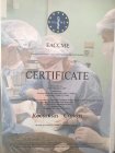 Doç. Dr. Canan Kocaman Çocuk Sağlığı ve Hastalıkları sertifikası
