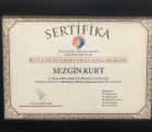 Yrd. Doç. Dr. Sezgin Kurt Kulak Burun Boğaz hastalıkları - KBB sertifikası