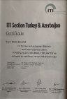 Dt. Beste Becerikli Kıvrak Diş Hekimi sertifikası