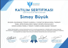 Psk. Simay Büyük Psikoloji sertifikası