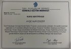 Psk. Ayşe Nur Baş Psikoloji sertifikası