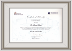Op. Dr. Mehmet Levent Deniz Beyin ve Sinir Cerrahisi sertifikası