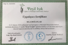 Psk. Dan. Sıla Doğanlar Psikolojik Danışman sertifikası