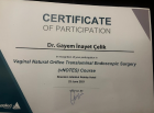Op. Dr. Gayem İnayet Turgay Kadın Hastalıkları ve Doğum sertifikası