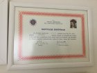 Dr. Dt. Elif Zaimoğlu Gültepe Diş Hekimi sertifikası