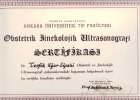Op. Dr. Tevfik Uğur Sipahi Kadın Hastalıkları ve Doğum sertifikası