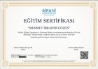 Psk. Dan. Mehmet İbrahim Gözen Psikolojik Danışman sertifikası