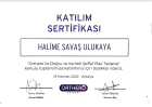 Dt. Halime Savaş Diş Hekimi sertifikası
