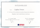 Op. Dr. Çağdaş Orman Plastik Rekonstrüktif ve Estetik Cerrahi sertifikası