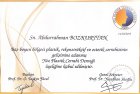 Op. Dr. Abdurrahman Bozkurttan Kulak Burun Boğaz hastalıkları - KBB sertifikası