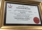Yrd. Doç. Dr. Sezgin Kurt Kulak Burun Boğaz hastalıkları - KBB sertifikası