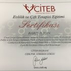 Uzm. Psk. Dan. Barış İlhan Psikolojik Danışman sertifikası