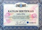 Dt. Kübra Dinç Diş Hekimi sertifikası