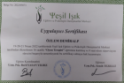 Uzm. Psk. Özlem Demiralp Psikoloji sertifikası