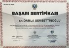 Uzm. Kl. Psk. Damla Şemsettinoğlu Psikoloji sertifikası