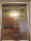 Prof. Dr. Alev Gürgün Göğüs Hastalıkları sertifikası