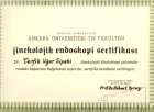 Op. Dr. Tevfik Uğur Sipahi Kadın Hastalıkları ve Doğum sertifikası