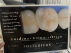 Dt. Gözdenur Kırmacı Özcan Diş Hekimi sertifikası