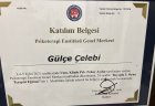 Psk. Gülçe Çelebi Psikoloji sertifikası