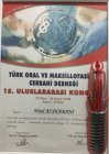 Dr. Dt. Vael Numan Diş Hekimi sertifikası