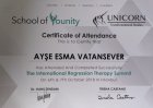 Psk. Ayşe Esma Vatansever Psikoloji sertifikası