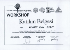 Klinik Psikolog  Mehmet Emin Kızgın Klinik Psikolog sertifikası