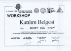 Klinik Psikolog  Mehmet Emin Kızgın Psikoloji sertifikası