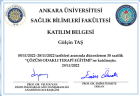 Uzman Aile Danışmanı Gülçin Taş Aile Danışmanı sertifikası