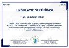 Psk. Semanur Erdal Psikoloji sertifikası