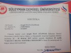Uzm. Psk. Dan. Şengül İnan Gülpınar Psikoloji sertifikası