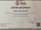 Psk. Ayça Eğilmez Psikoloji sertifikası