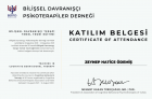 Klinik Psikolog  Zeynep Ödemiş Klinik Psikolog sertifikası