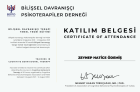 Klinik Psikolog  Zeynep Ödemiş Klinik Psikolog sertifikası
