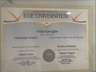 Dr. Dt. Fulya Karaoğlan Endodonti (Kanal Tedavisi) sertifikası