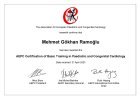 Doç. Dr. Mehmet Gökhan Ramoğlu Çocuk Kardiyolojisi sertifikası