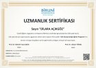 Psk. Dan. Dilara Açıkgöz Psikolojik Danışman sertifikası