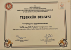 Prof. Dr. Ayşe Berna Anıl Çocuk Sağlığı ve Hastalıkları sertifikası