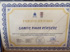 Psk. Pınar Kökdere Psikoloji sertifikası