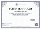 Psk. Serkan Özçelik Psikoloji sertifikası