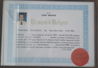 Prof. Dr. Ali Engin Ulusal Ortopedi ve Travmatoloji sertifikası