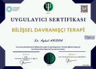 Psk. Dan. Aykut Akova Psikoloji sertifikası