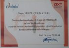 Uzm. Dt. Serpil Çekin Yücel Diş Hekimi sertifikası