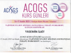 Op. Dr. Yasemin Babar İlkit Kadın Hastalıkları ve Doğum sertifikası