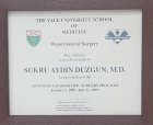 Prof. Dr. Şükrü Aydın Düzgün Genel Cerrahi sertifikası