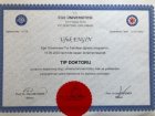 Uzm. Dr. Ufuk Engin Gastroenteroloji sertifikası