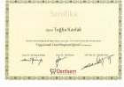 Dt. Tuğba Kavlak Diş Hekimi sertifikası