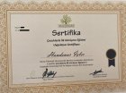 Psk. Dan. Handenur Özdemir Psikolojik Danışman sertifikası