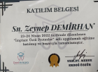Dt. Zeynep Demirhan Diş Hekimi sertifikası